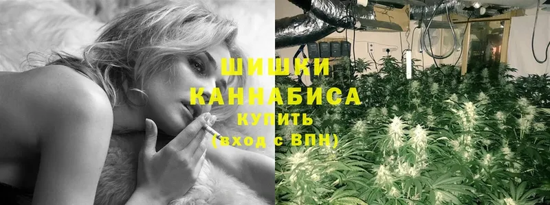 Шишки марихуана LSD WEED  где купить наркоту  Игра 